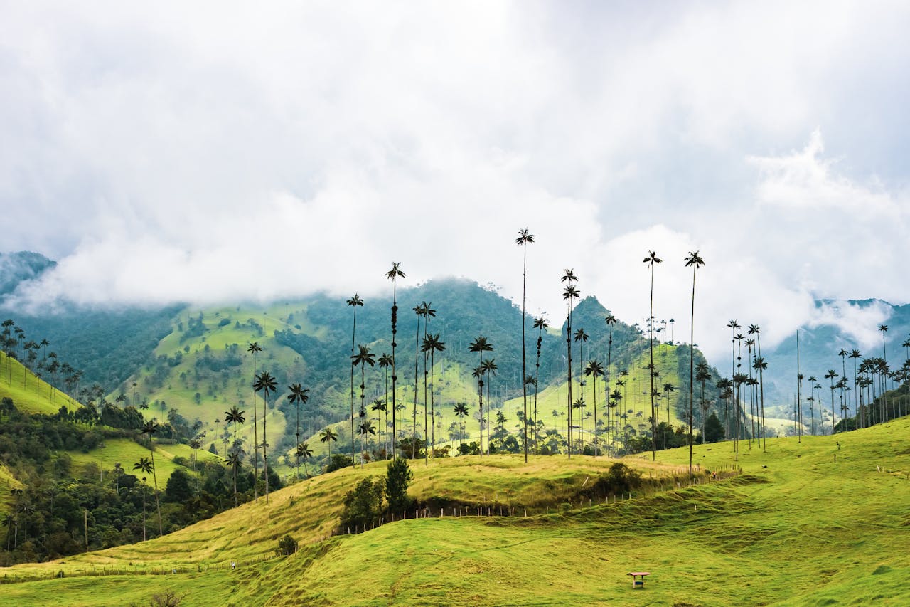 Colombia-1